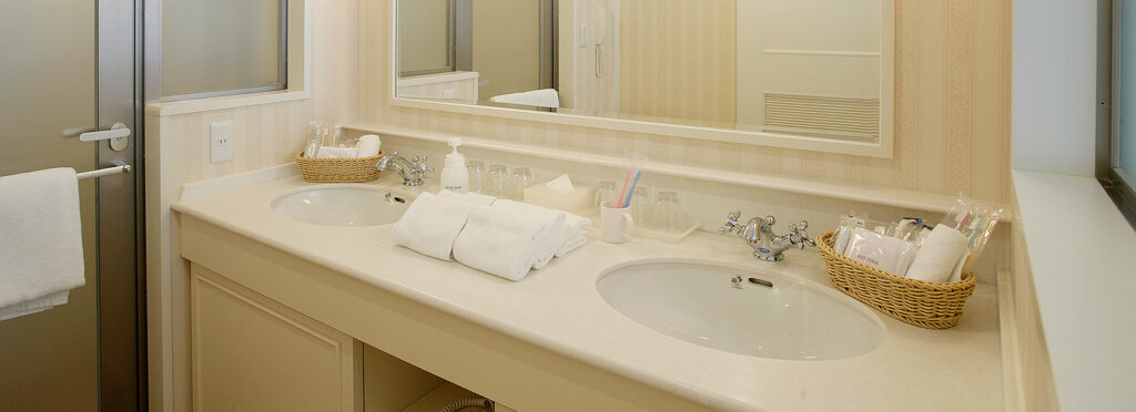 ディズニー利用者向け:シャトルバスとバゲッジデリバリー完全解説